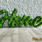 Moosbild / Schriftzug - Home
